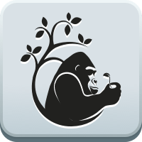 Silverback Identity Server
